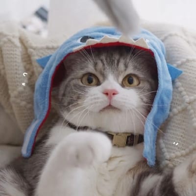 ปาน ธนพร avatar